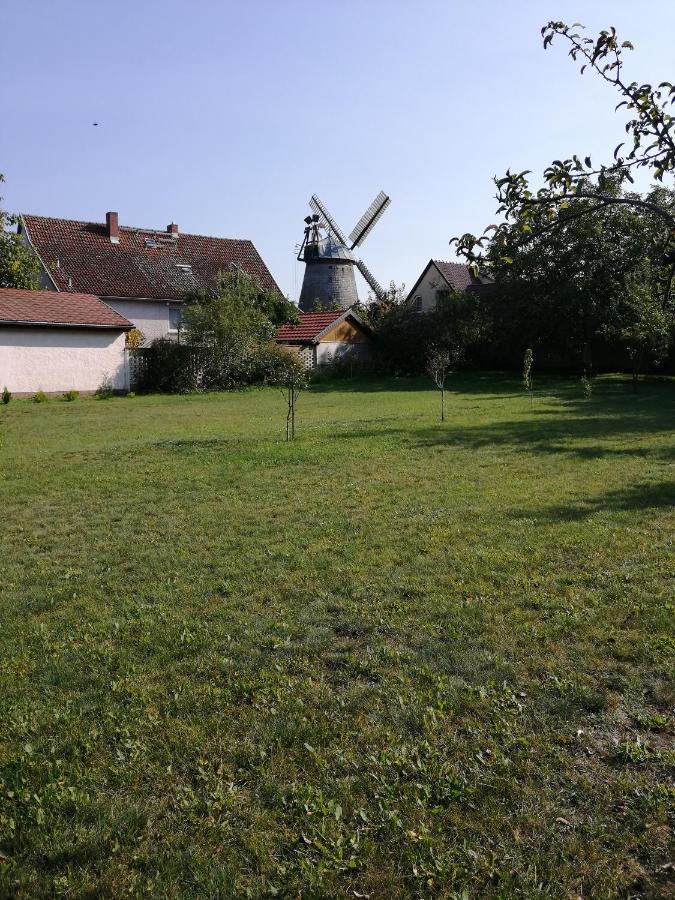 Ferienhaus Wilhelm Spreewald Straupitz Zewnętrze zdjęcie