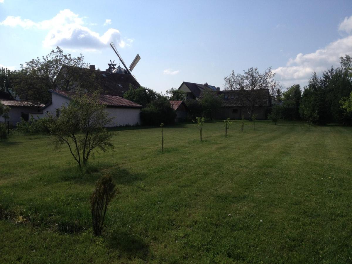 Ferienhaus Wilhelm Spreewald Straupitz Zewnętrze zdjęcie
